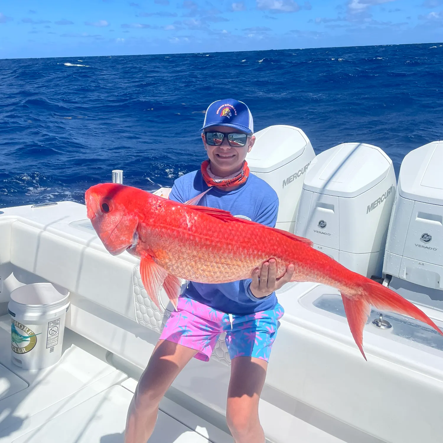 The most recent Queen Snapper catches on Fishbrain
