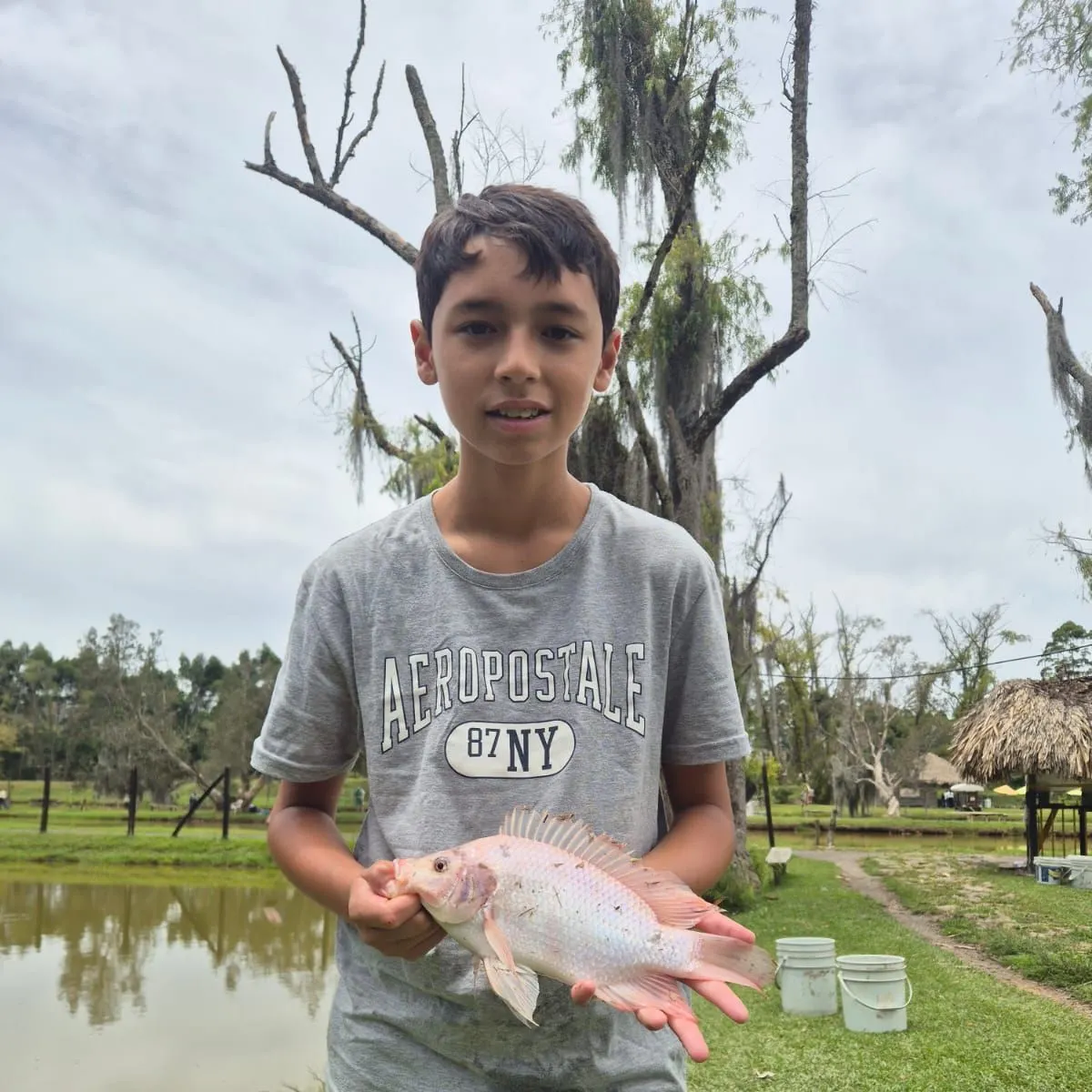 Red tilapia caught on Fishbrain