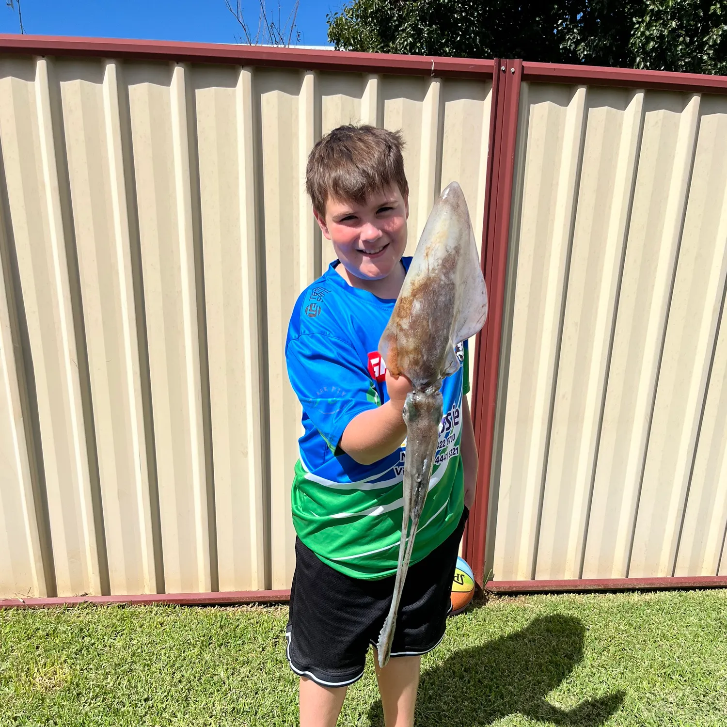 The most recent Southern calamari catches on Fishbrain