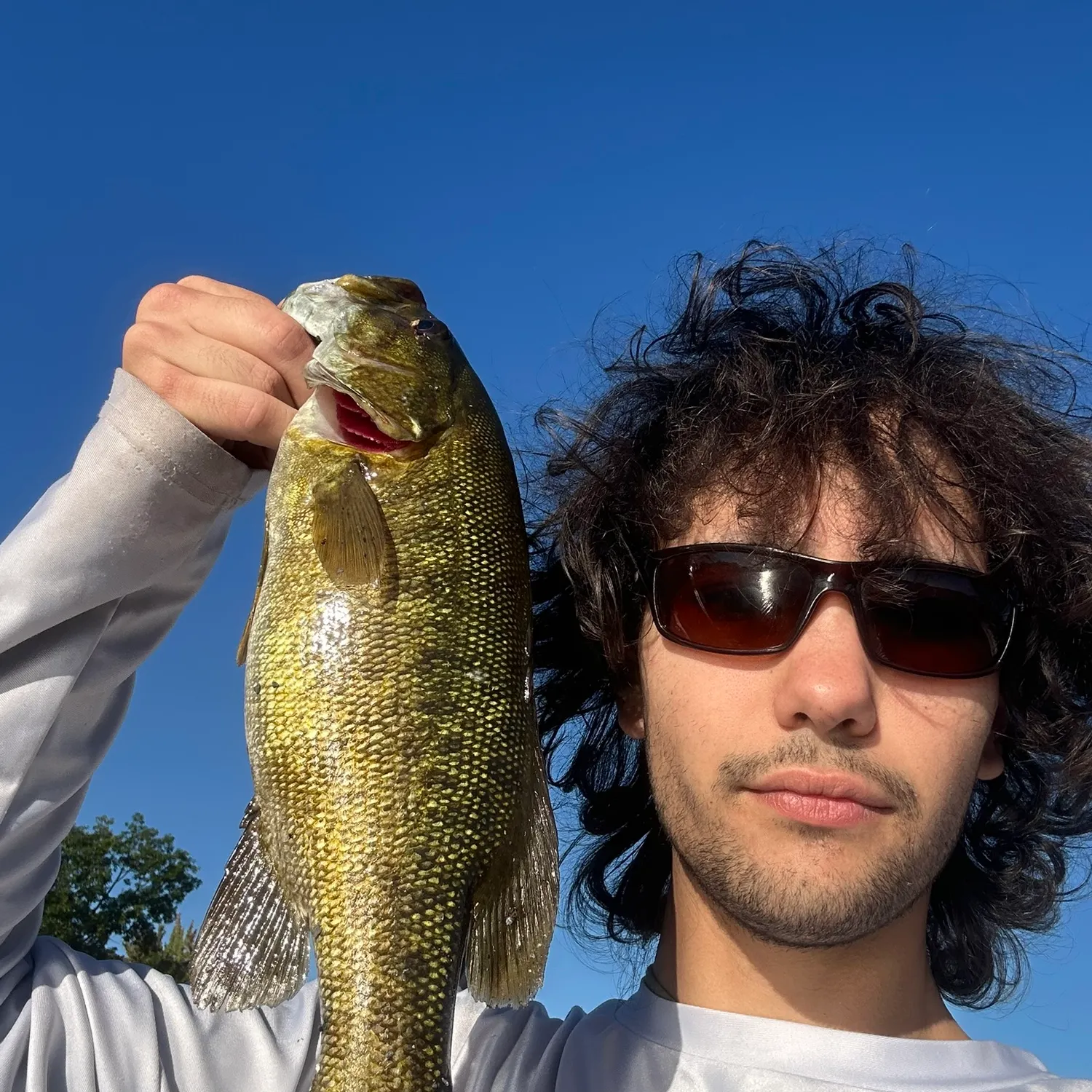Smallmouth bass caught on Fishbrain