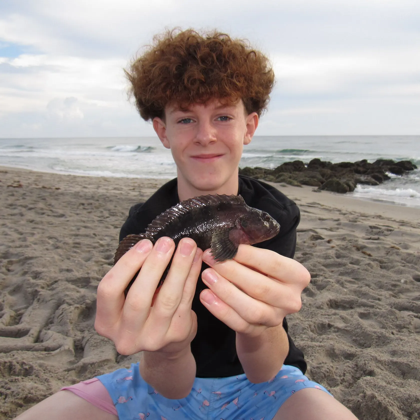 The most recent Hairy blenny catches on Fishbrain