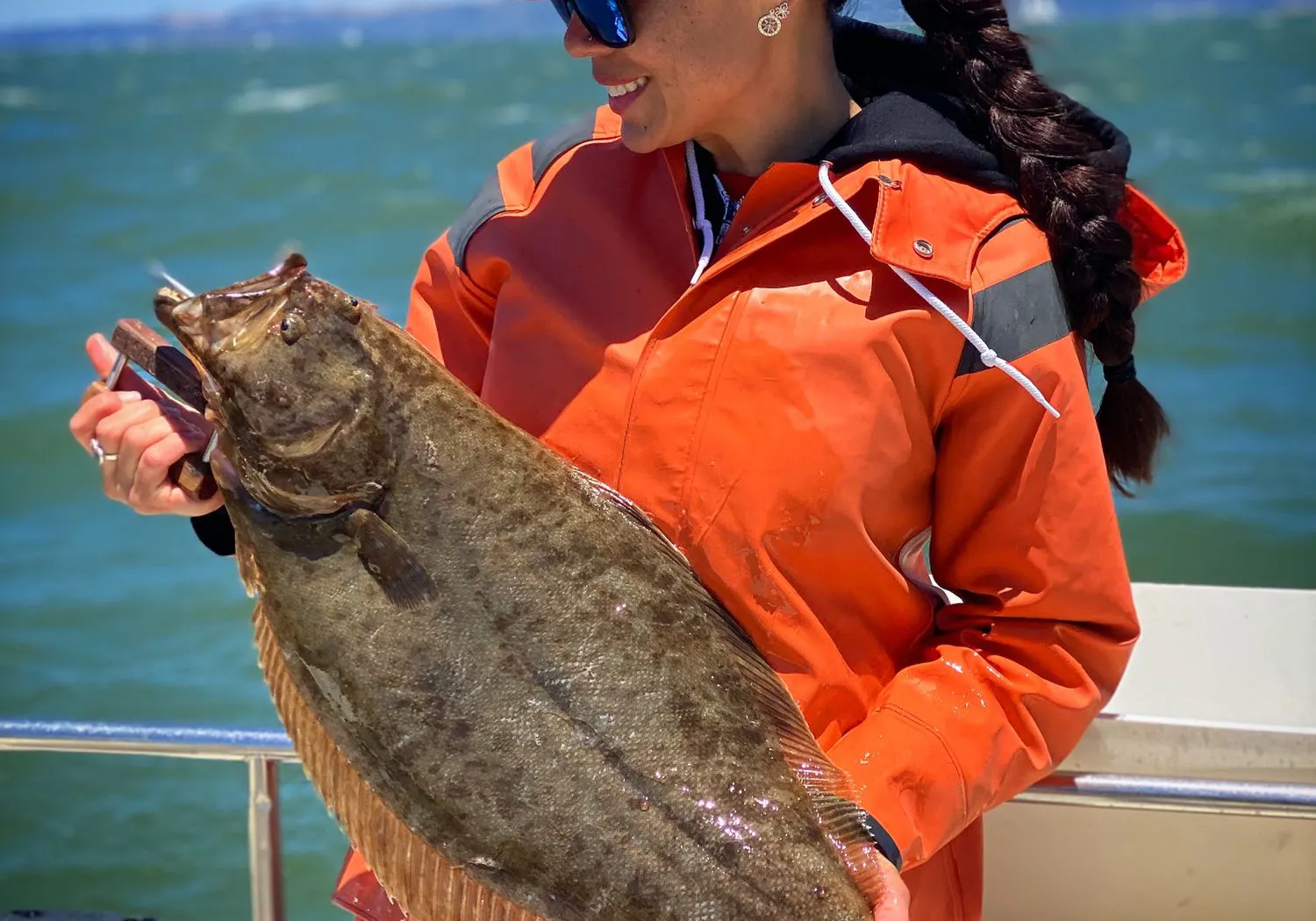 California halibut