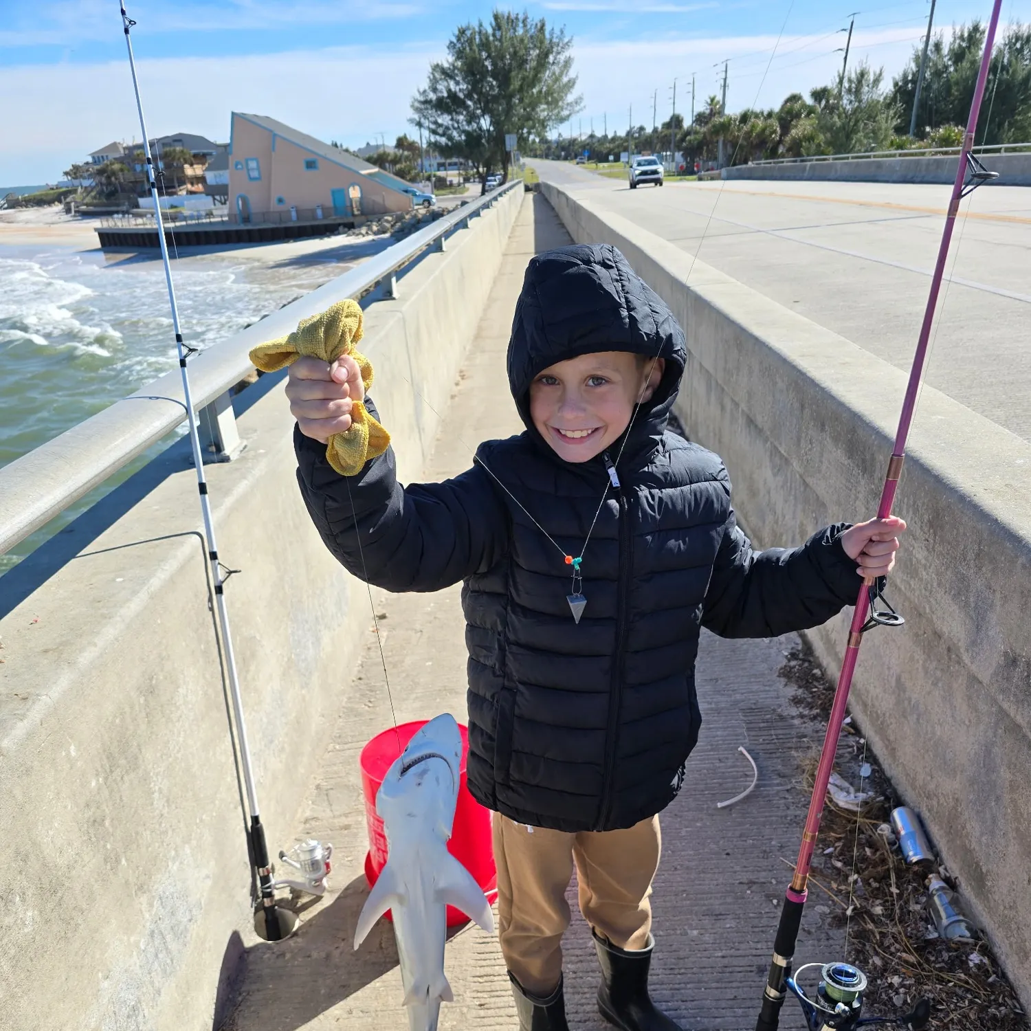 Atlantic sharpnose shark caught on Fishbrain