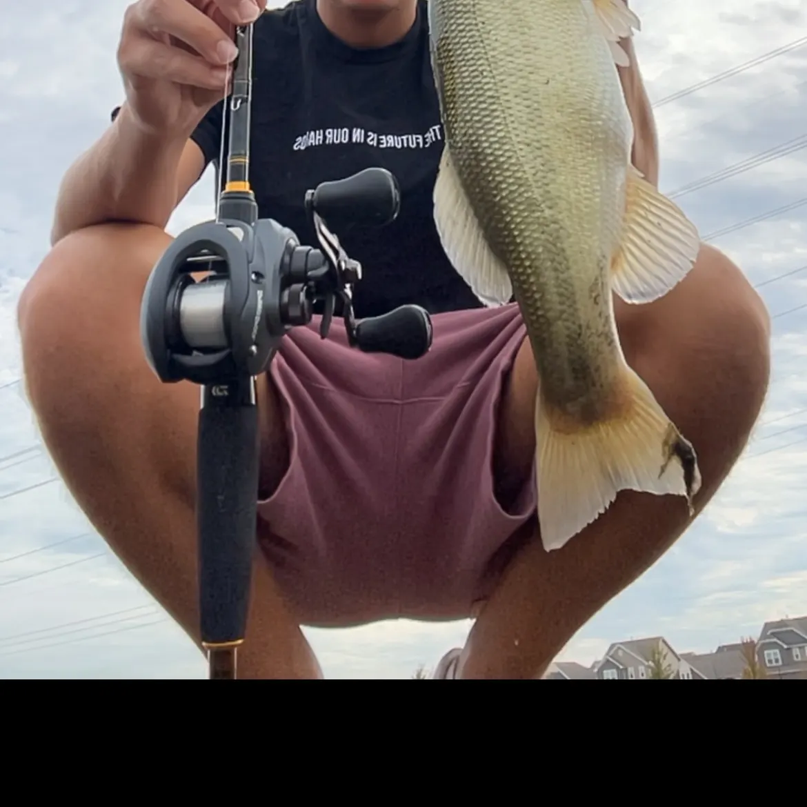 Largemouth bass caught on Fishbrain