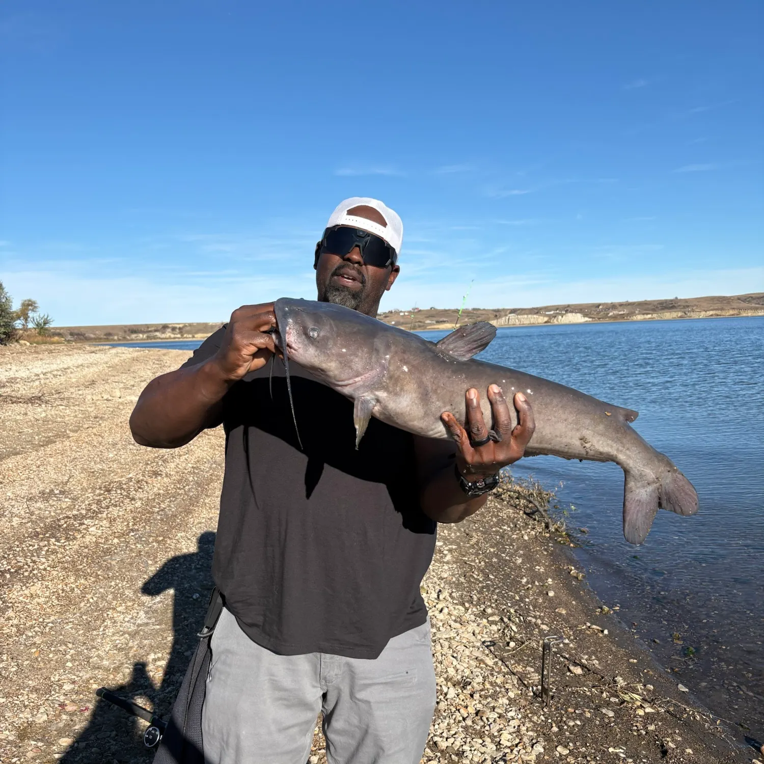 Channel catfish caught on Fishbrain