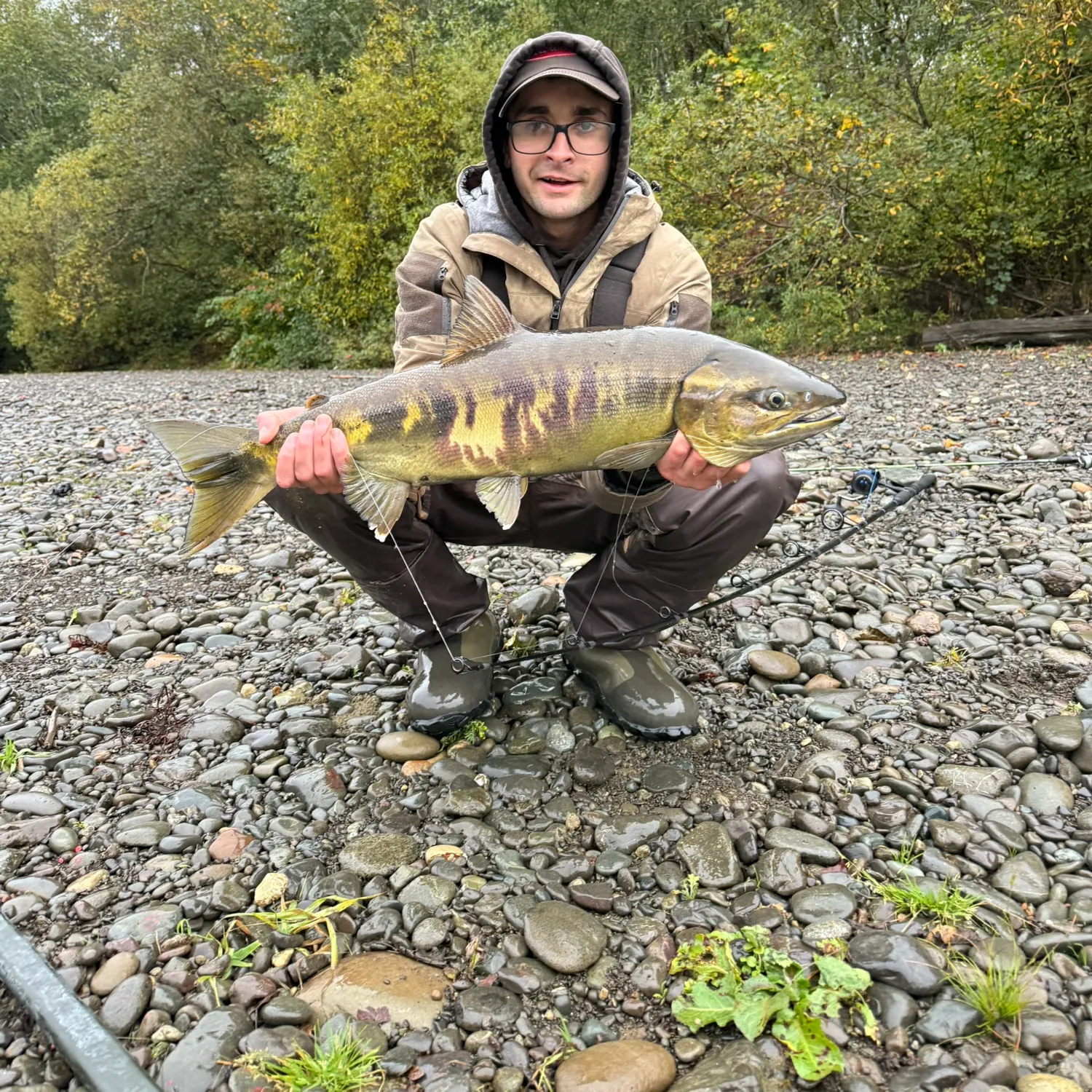 The most recent Chum salmon catches on Fishbrain