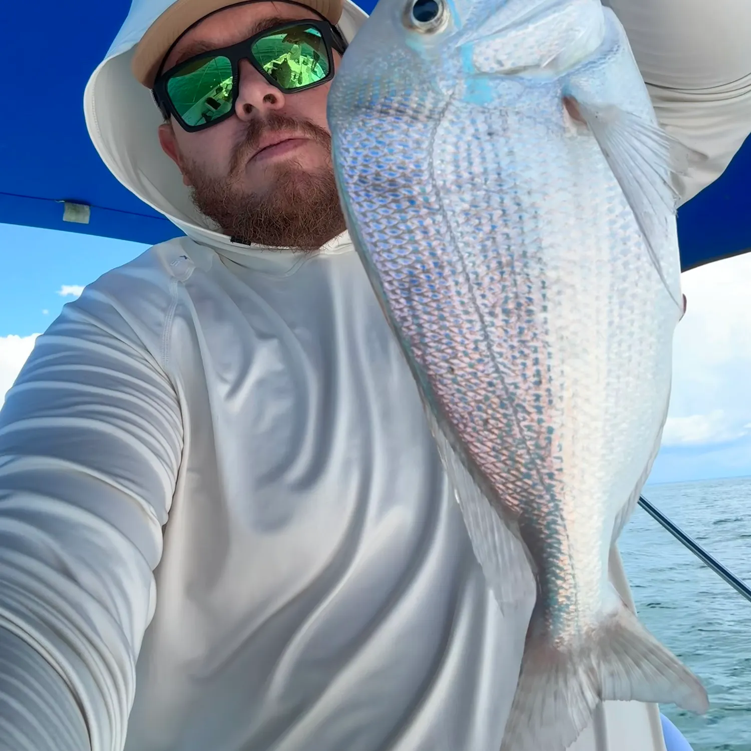 The most recent Grey grunt catches on Fishbrain