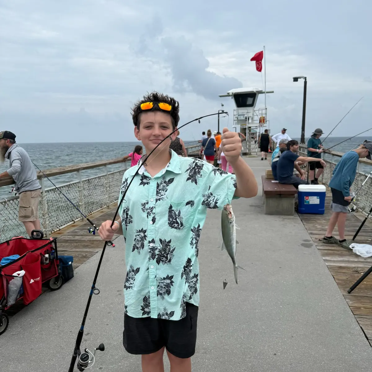 recently logged catches