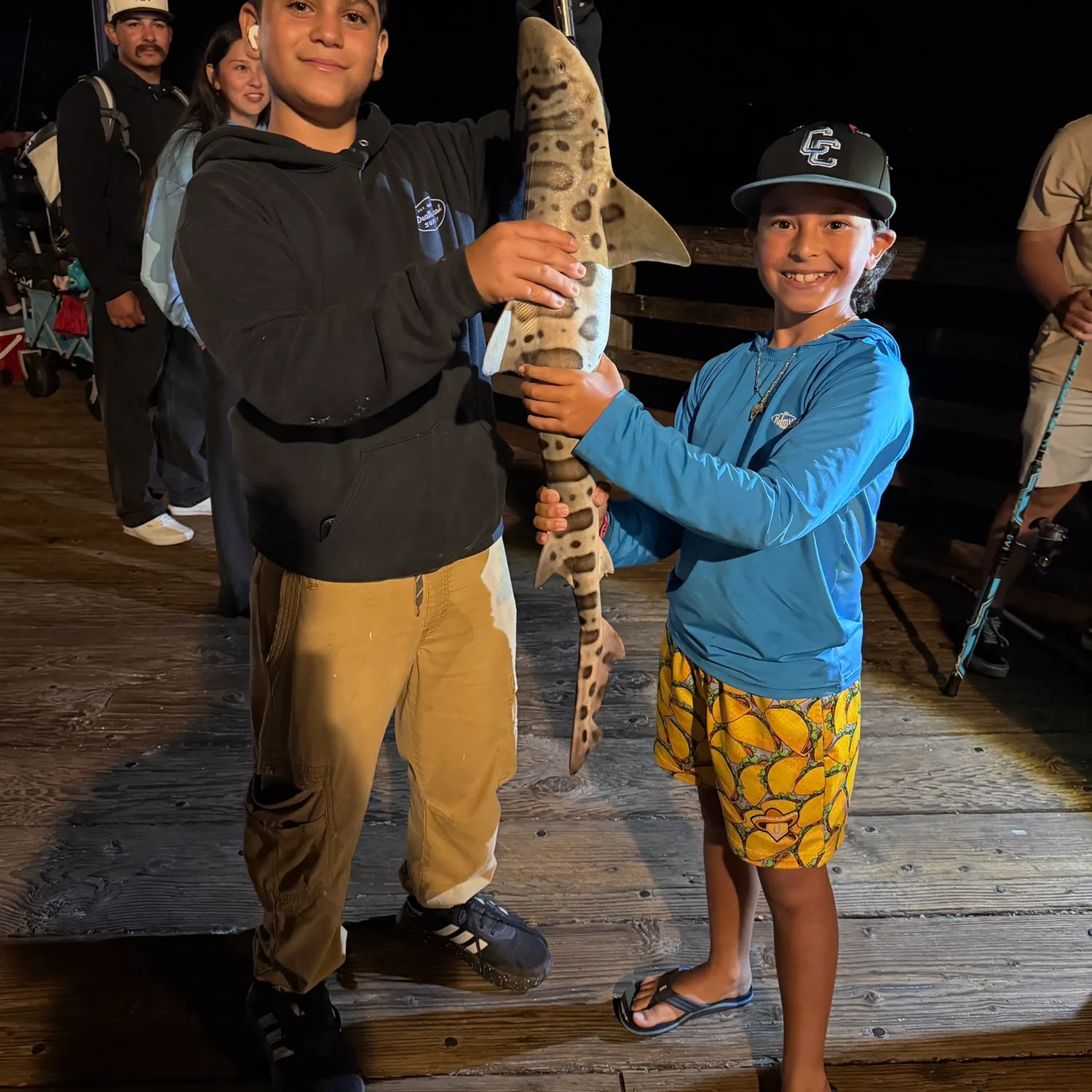 The most recent Leopard shark catches on Fishbrain