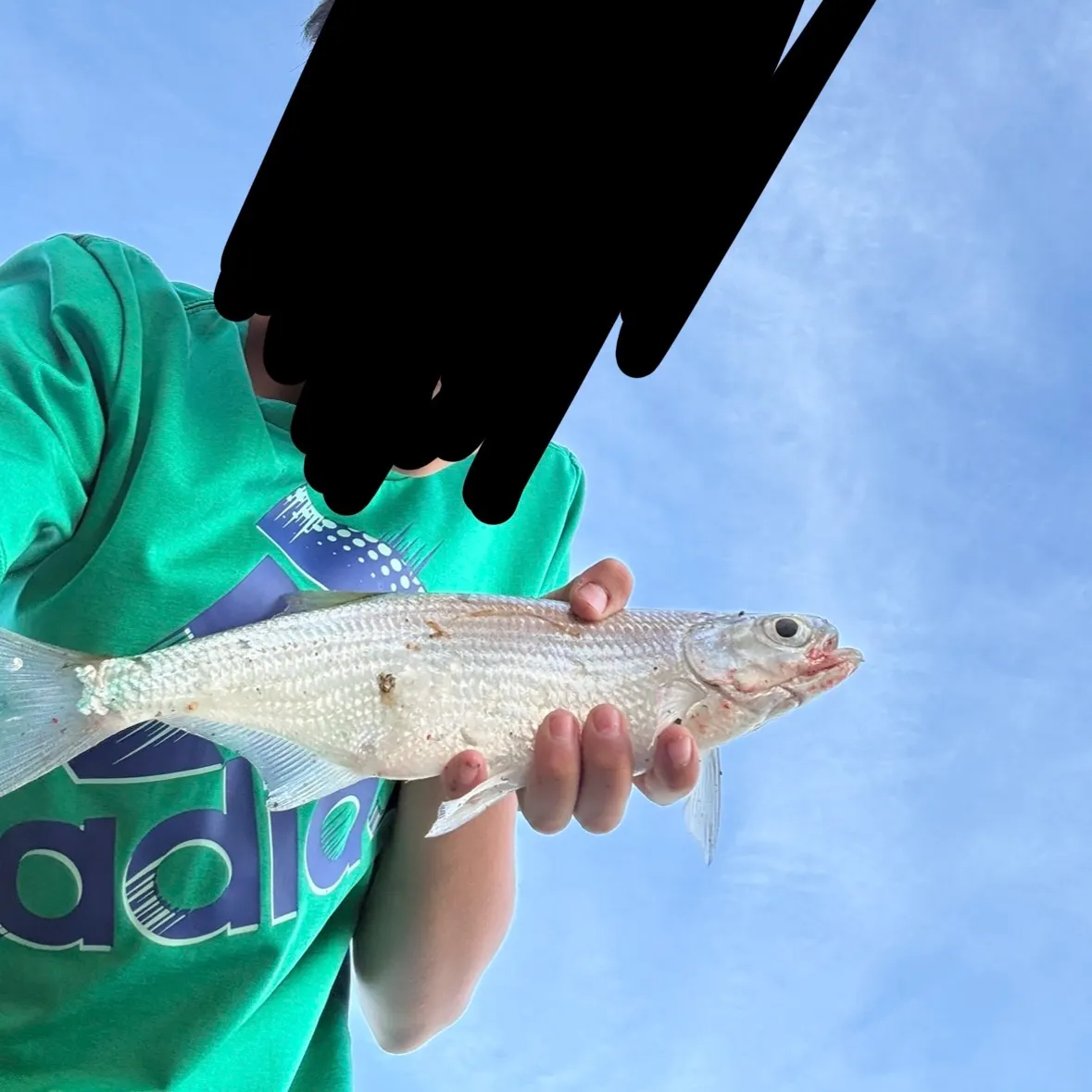 The most recent Mooneye catches on Fishbrain