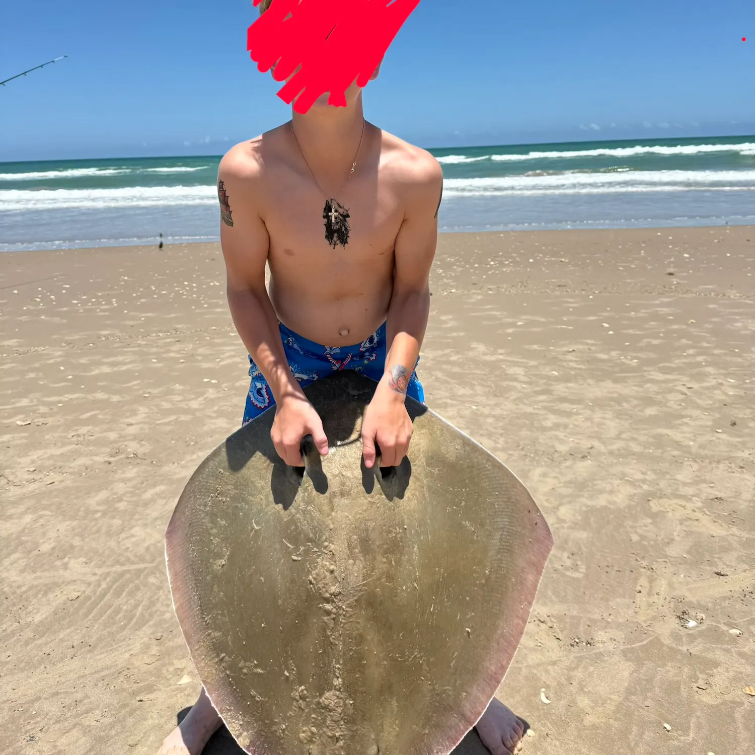 Atlantic stingray caught on Fishbrain