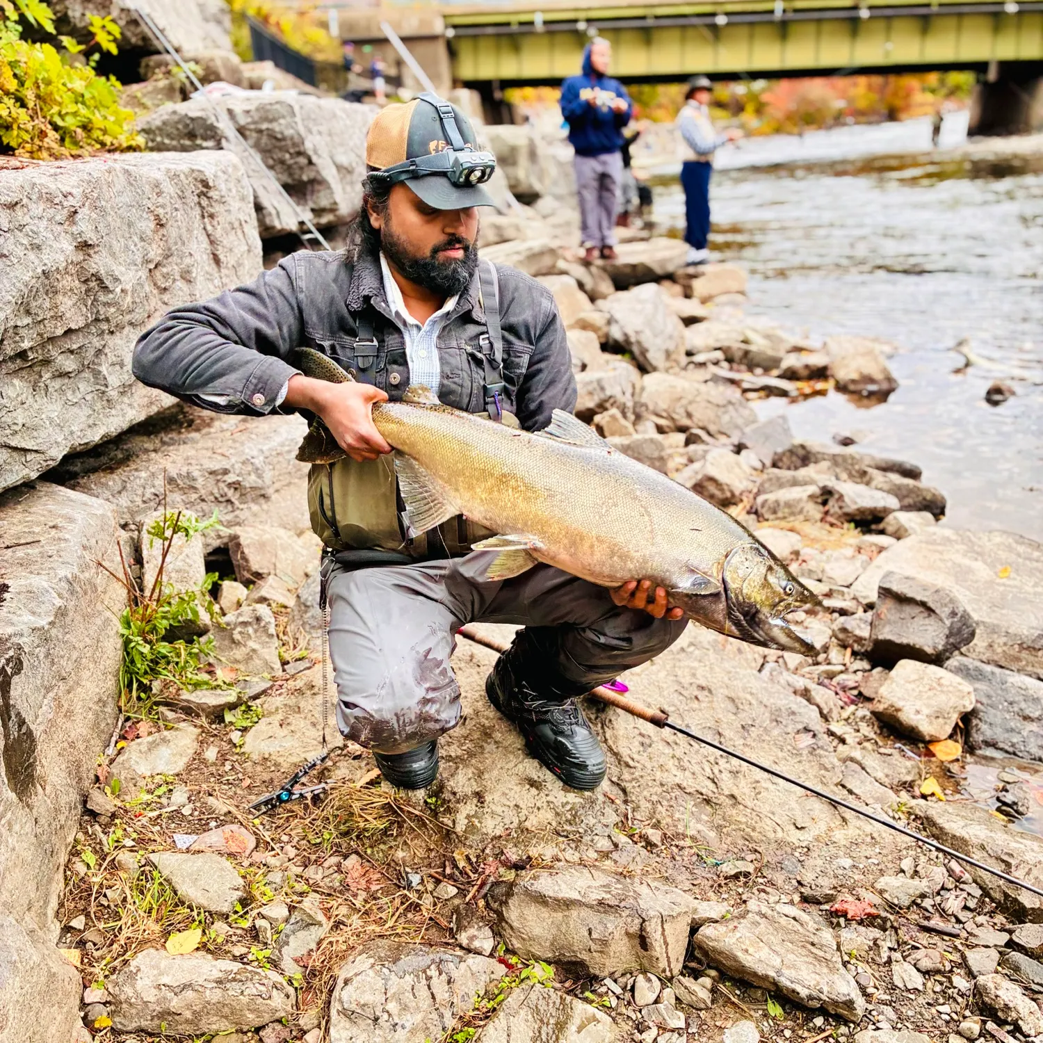 Chinook salmon caught on Fishbrain