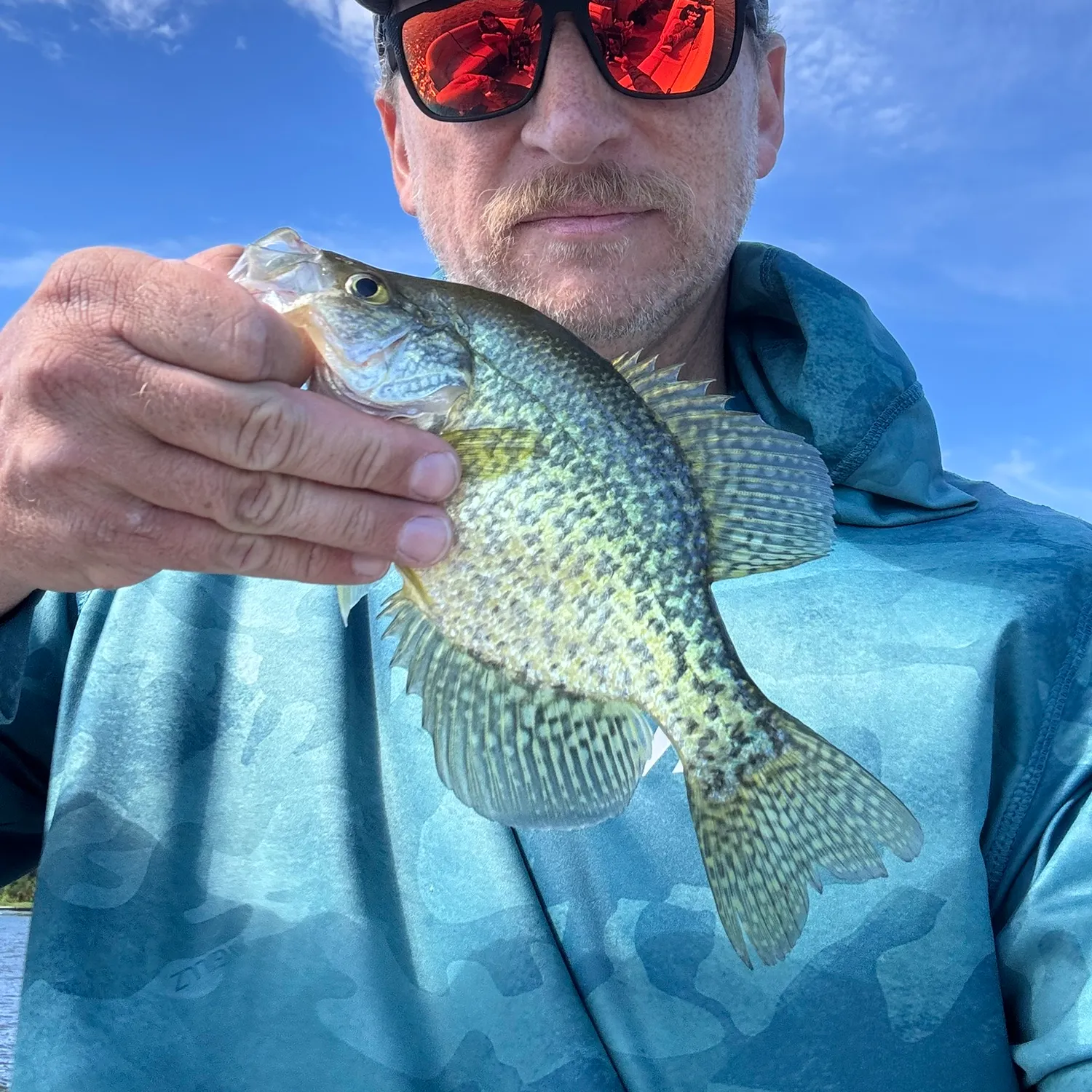 Black crappie caught on Fishbrain