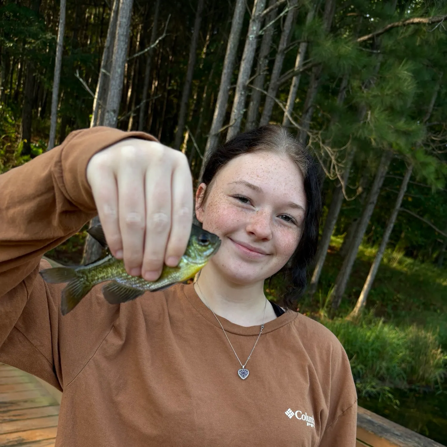 Bluegill caught on Fishbrain