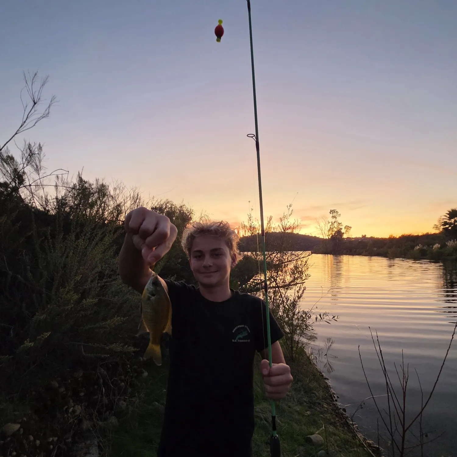 Bluegill caught on Fishbrain