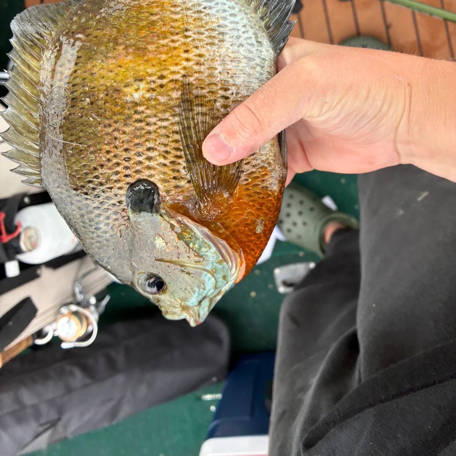 catch