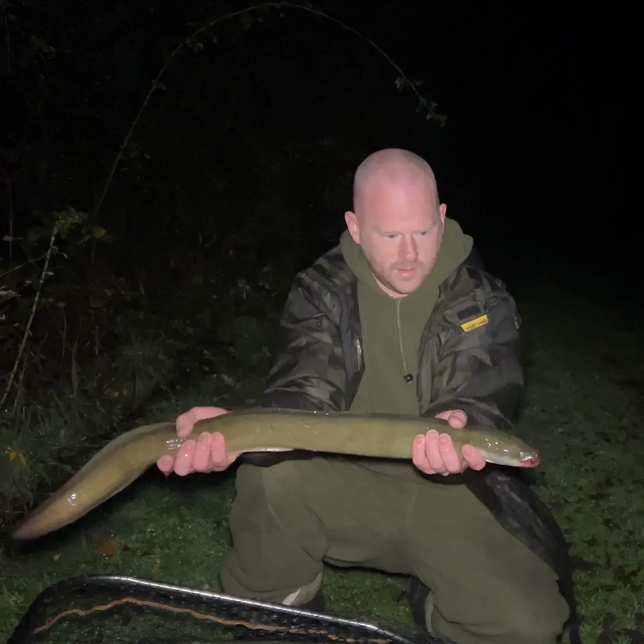 The most recent European eel catches on Fishbrain