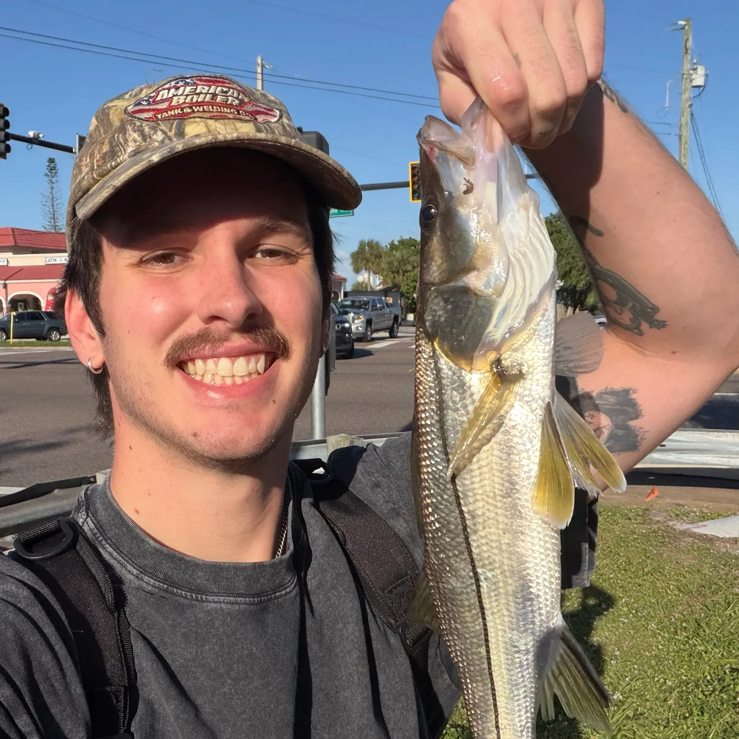 Common snook caught on Fishbrain