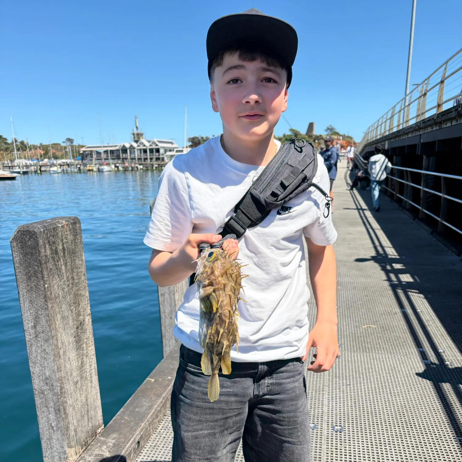 Dusky flathead caught on Fishbrain