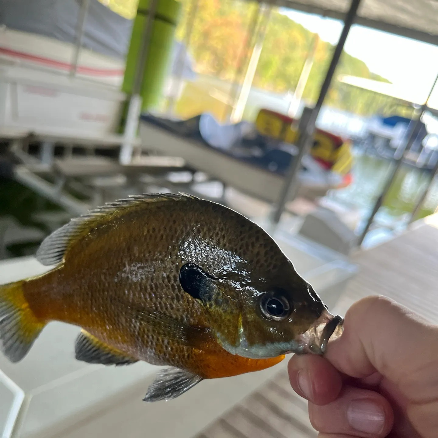 catch