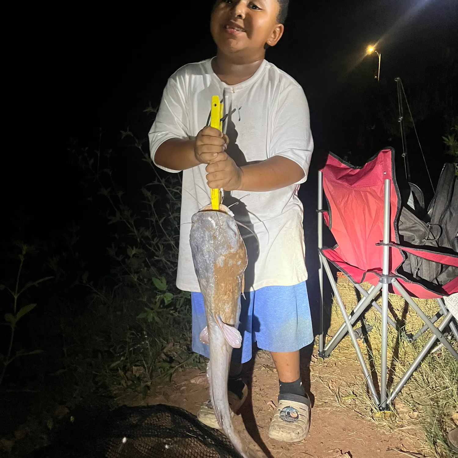 Blue catfish caught on Fishbrain