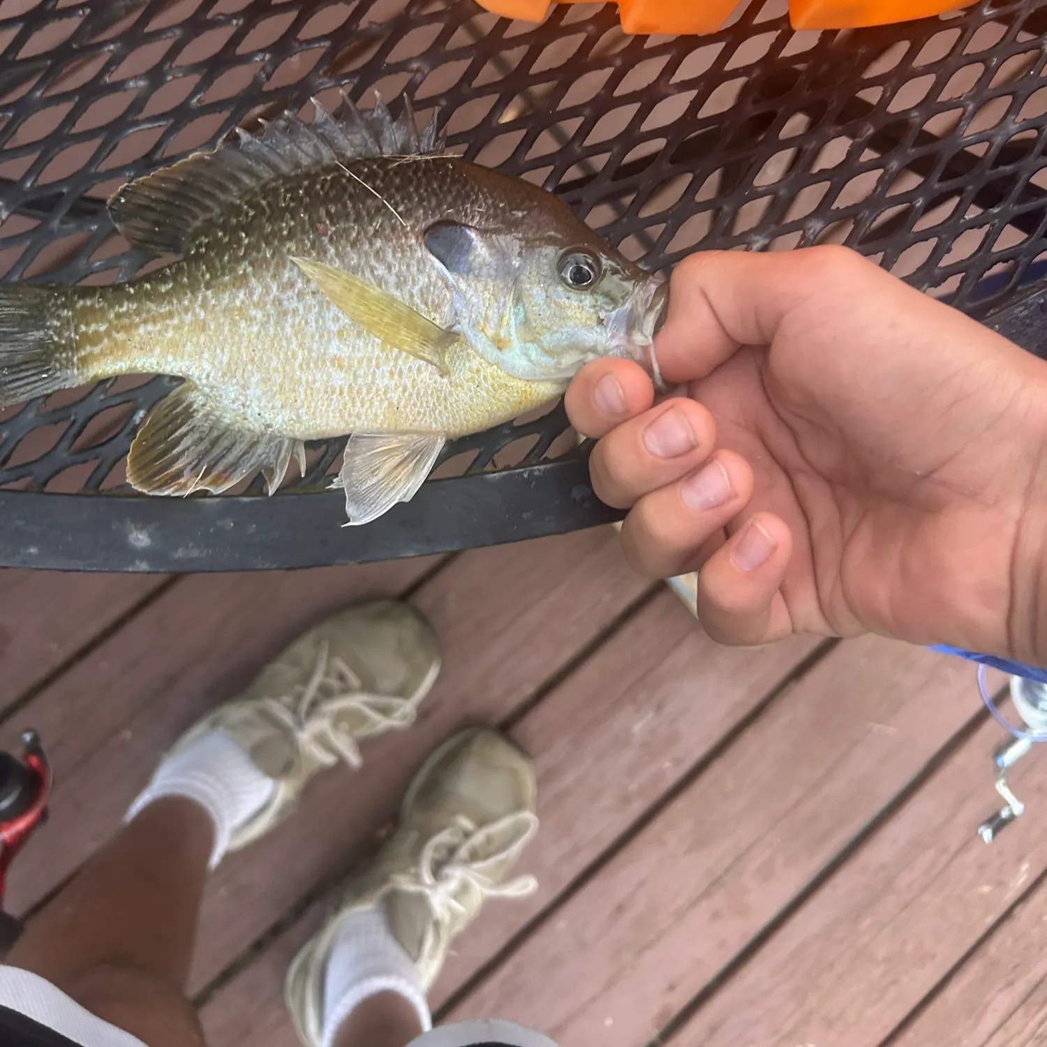 catch