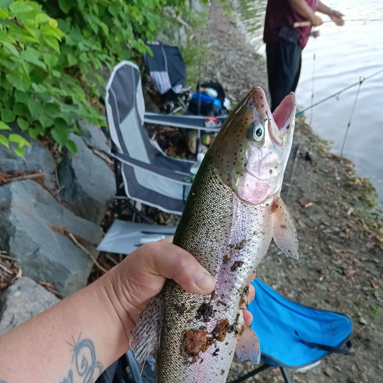 catch