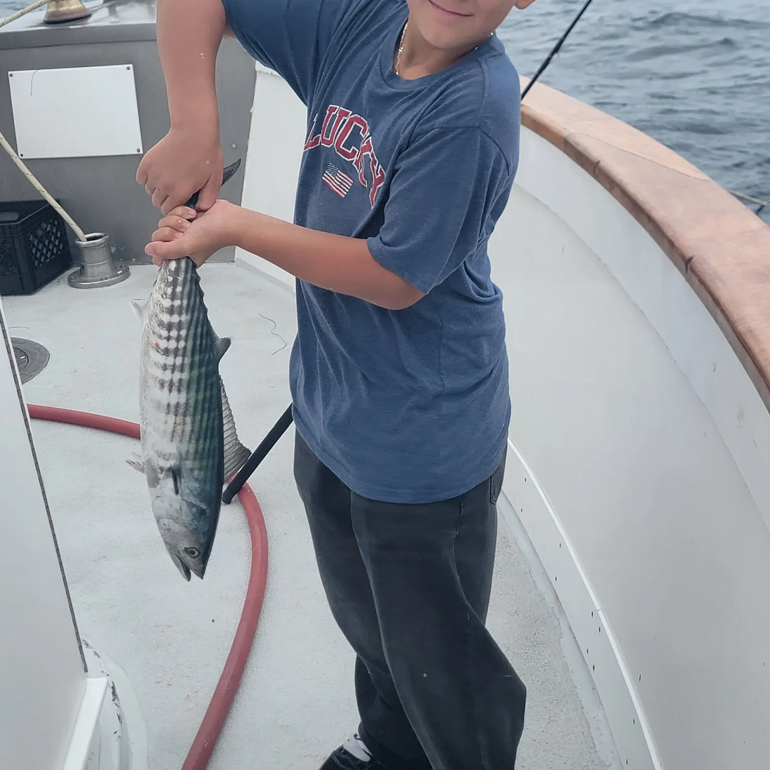 The most recent Pacific bonito catches on Fishbrain
