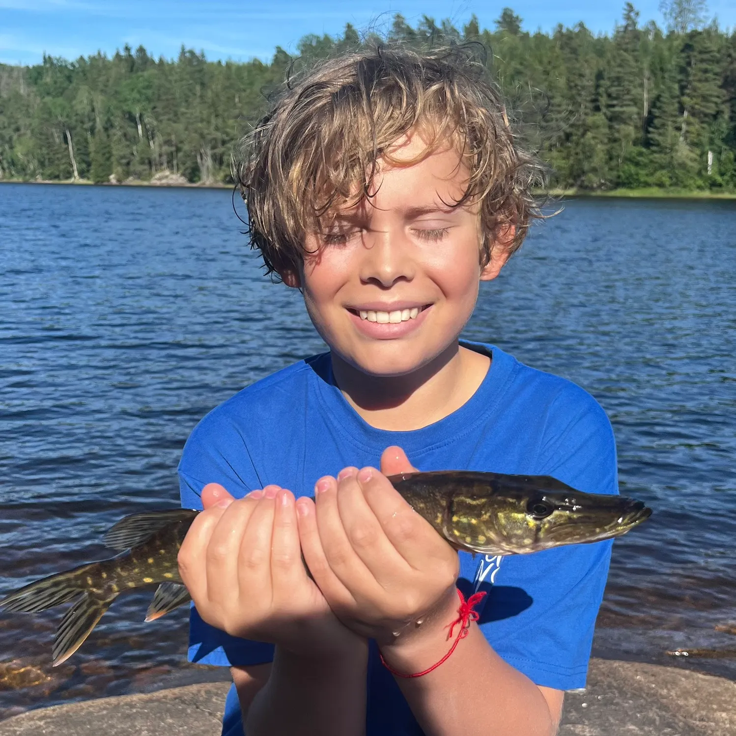 Northern pike caught on Fishbrain