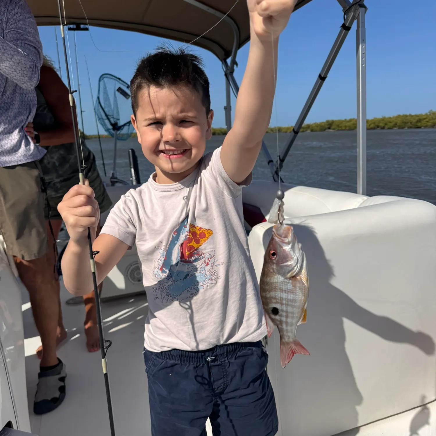 The most recent Lane snapper catches on Fishbrain