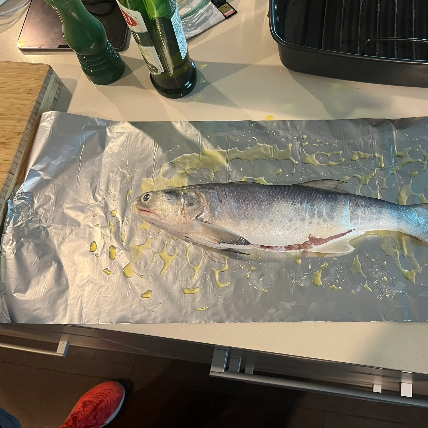 The most recent King threadfin catches on Fishbrain