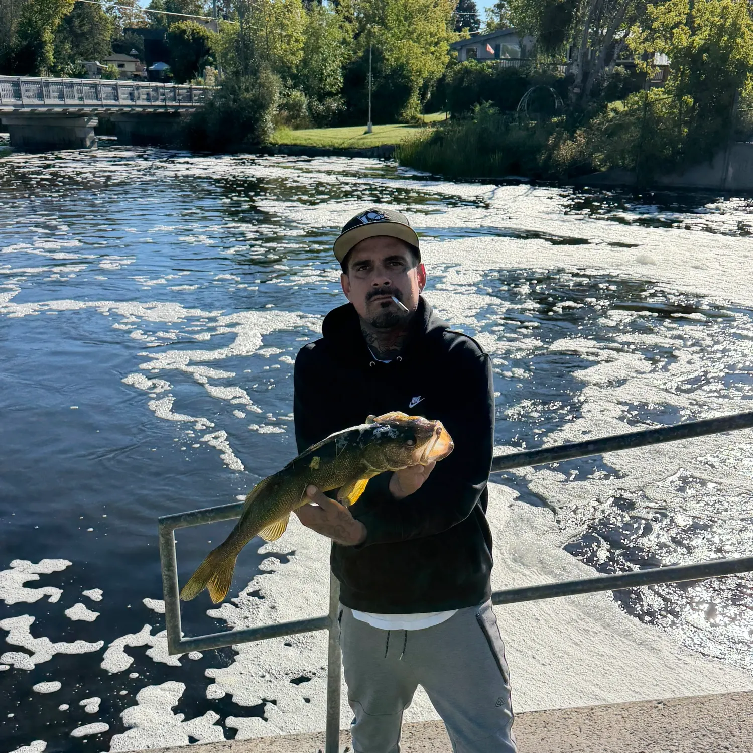 Walleye caught on Fishbrain