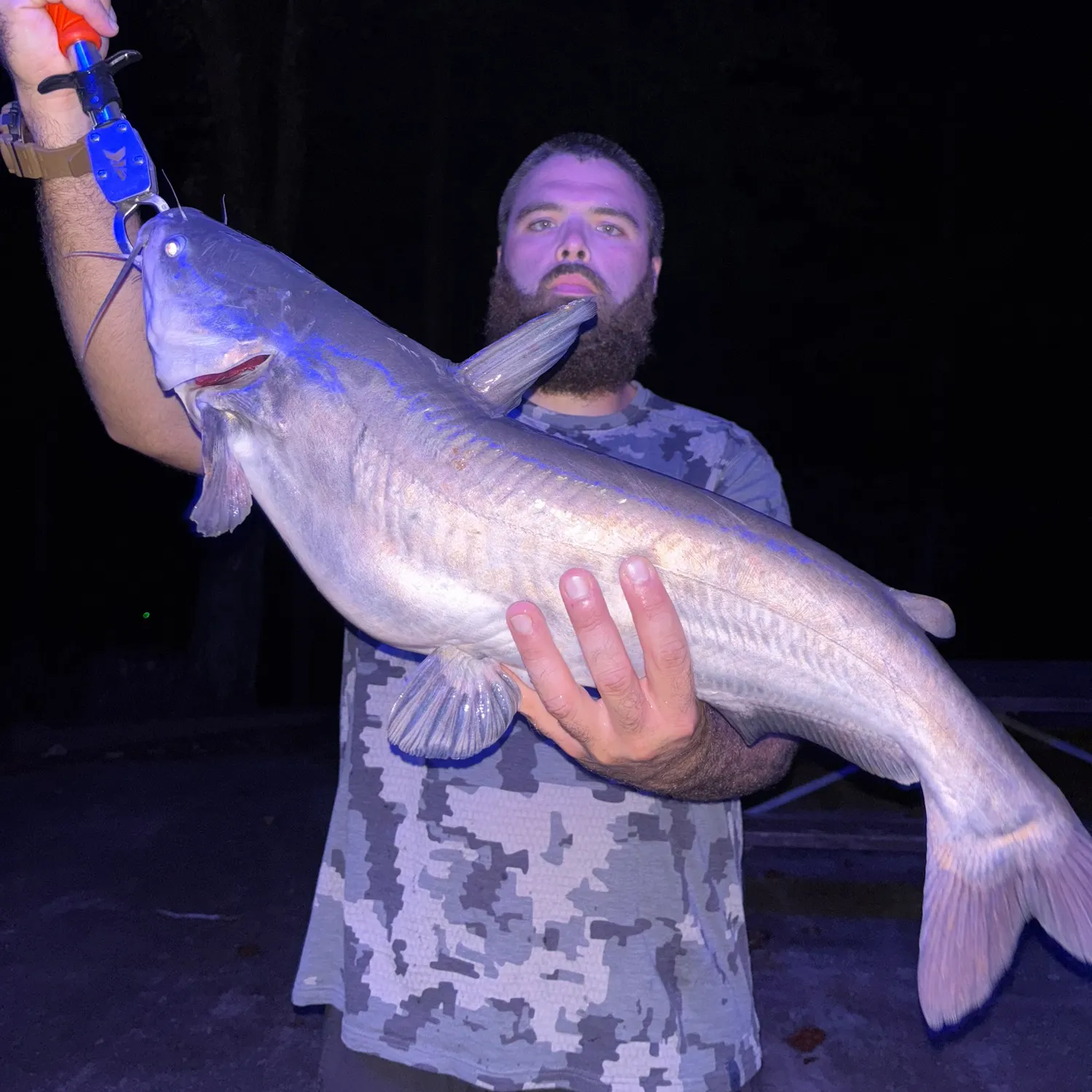 Blue catfish caught on Fishbrain