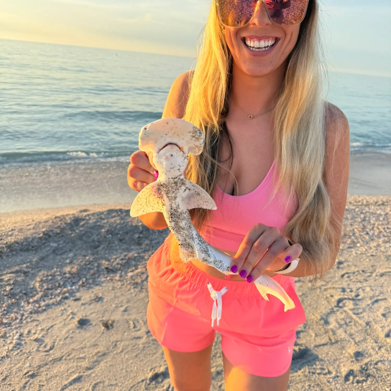 The most recent Bonnethead shark catches on Fishbrain