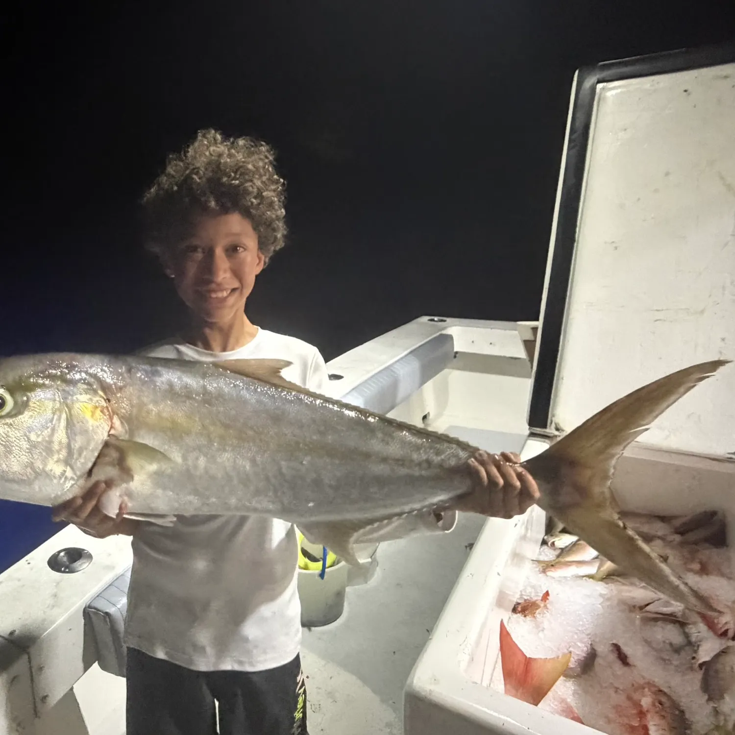 Greater amberjack caught on Fishbrain