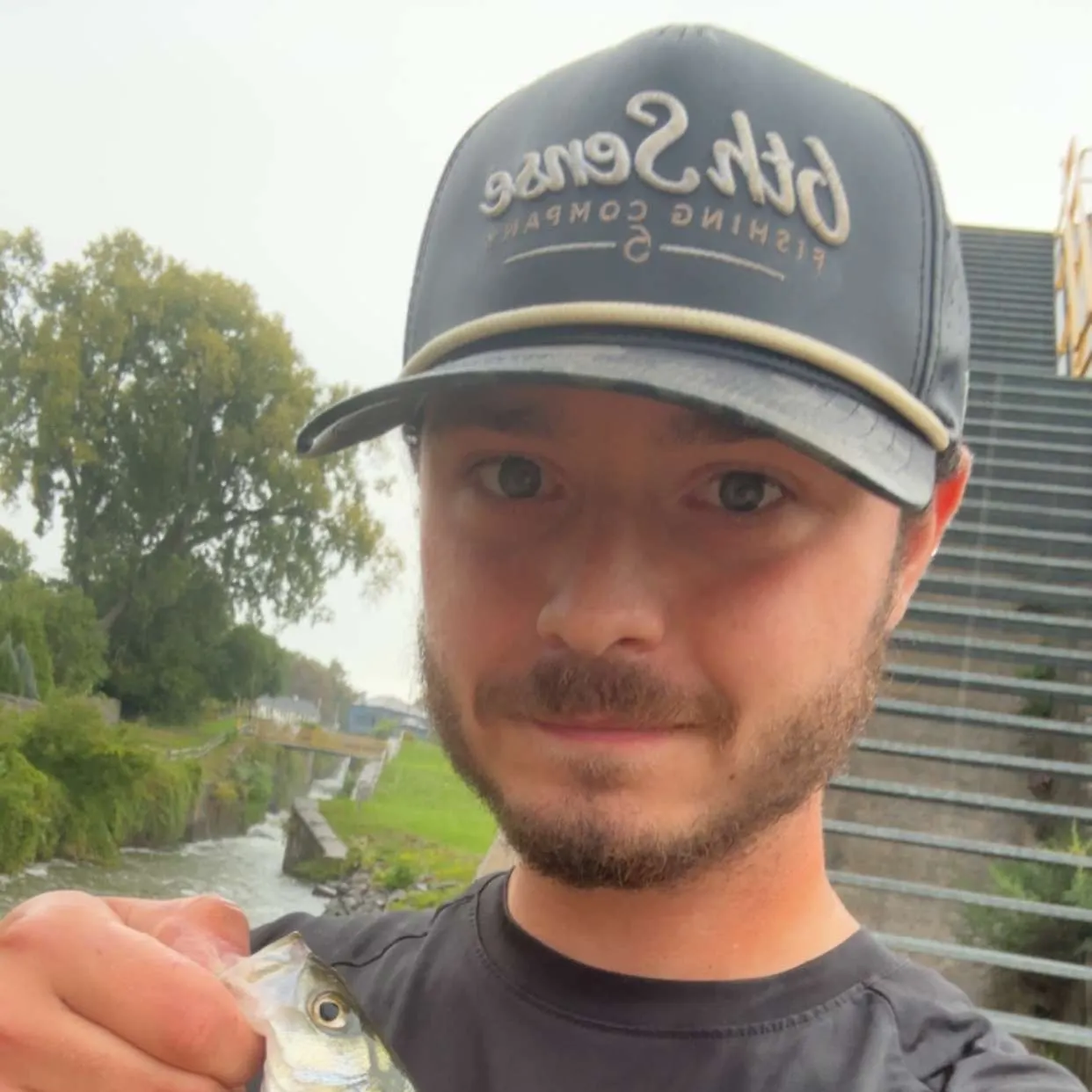 Striped bass caught on Fishbrain