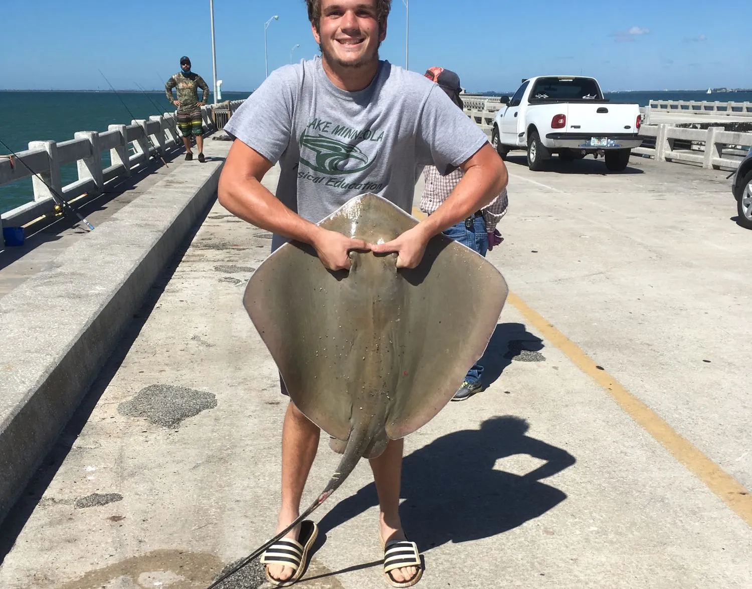 Atlantic stingray