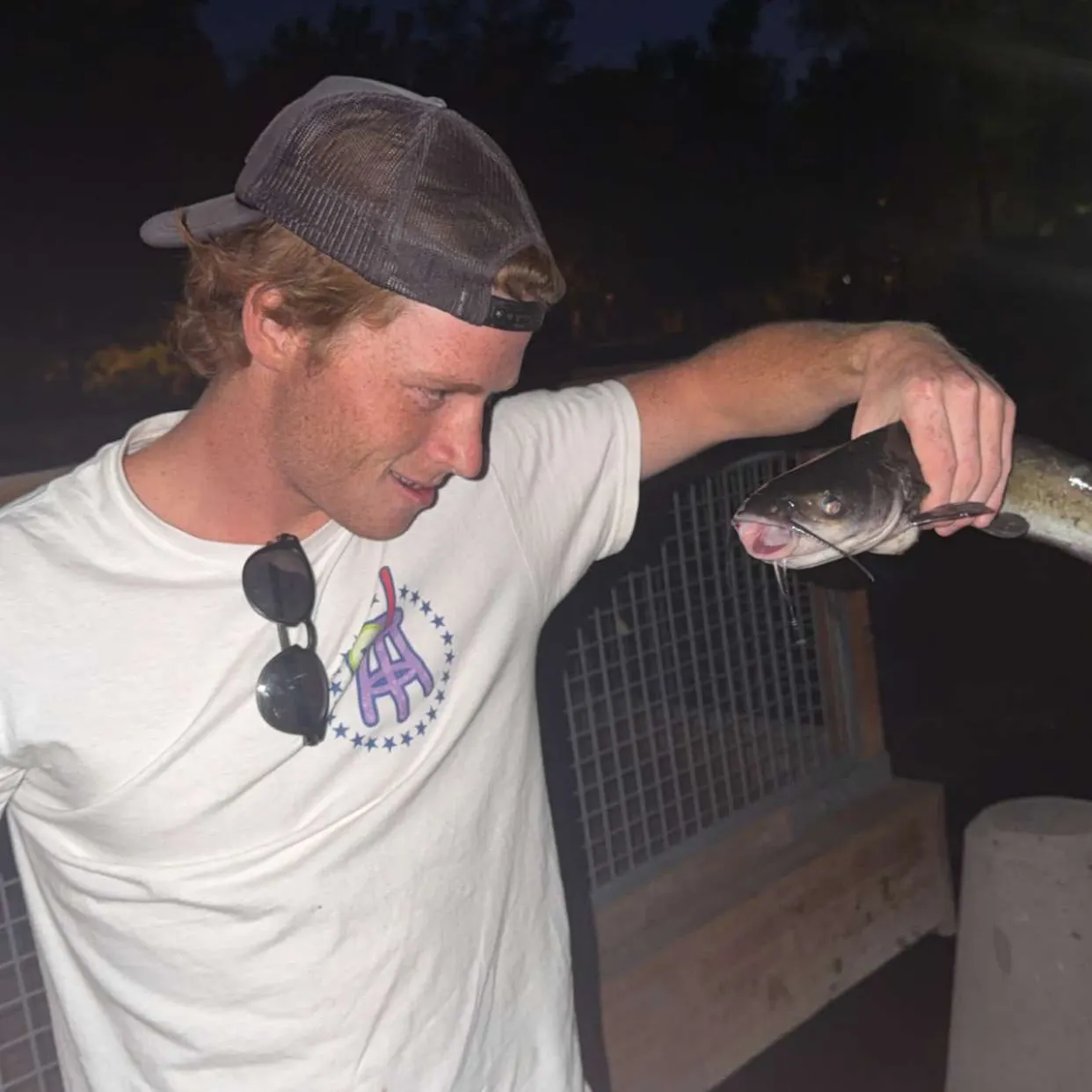 Channel catfish caught on Fishbrain