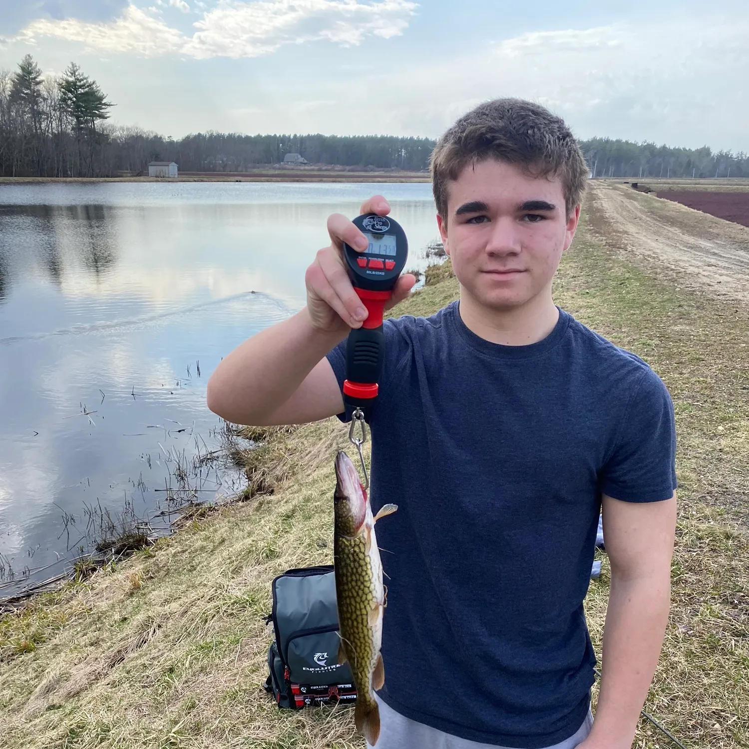 The most recent Chain pickerel catches on Fishbrain
