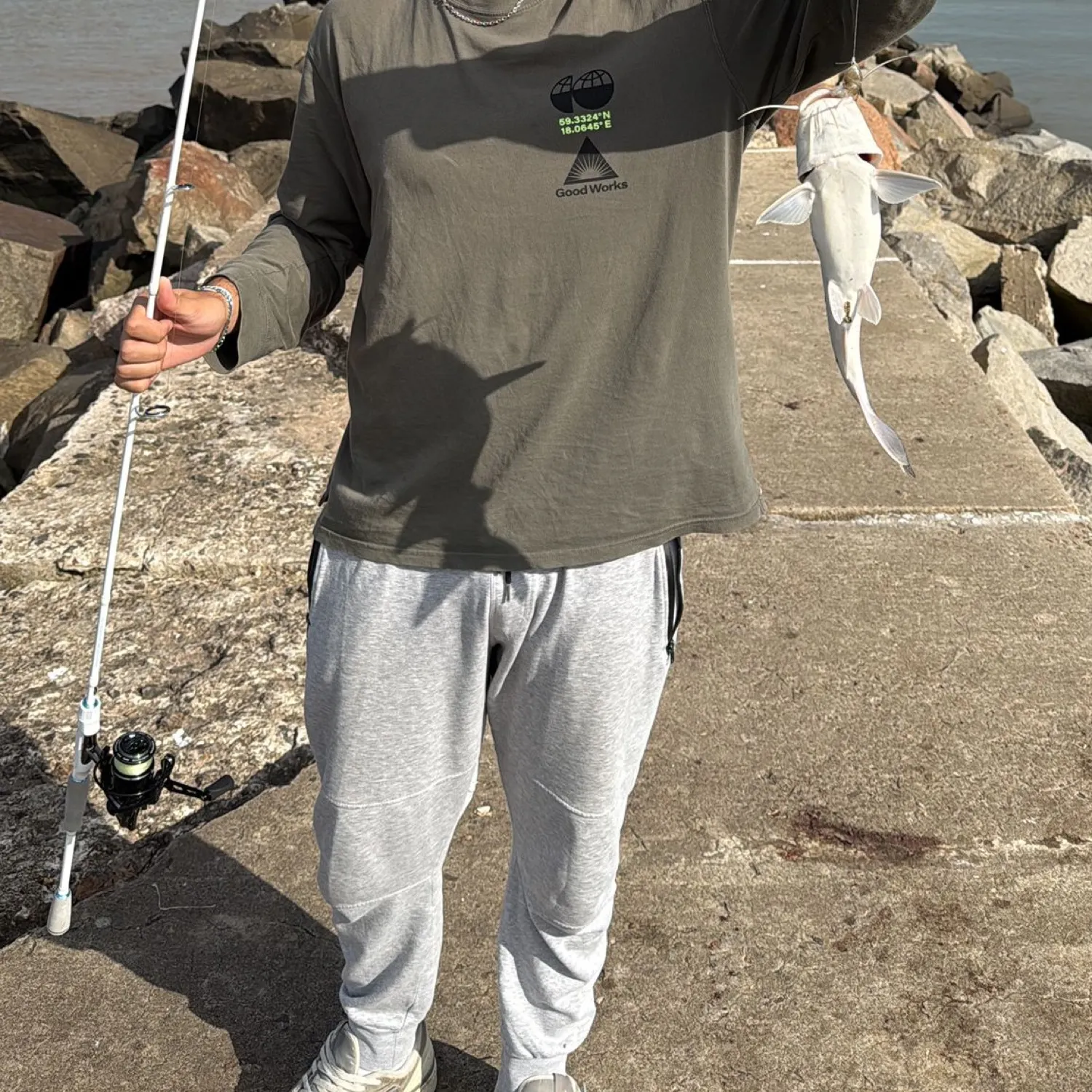 The most recent White pimelodus catches on Fishbrain