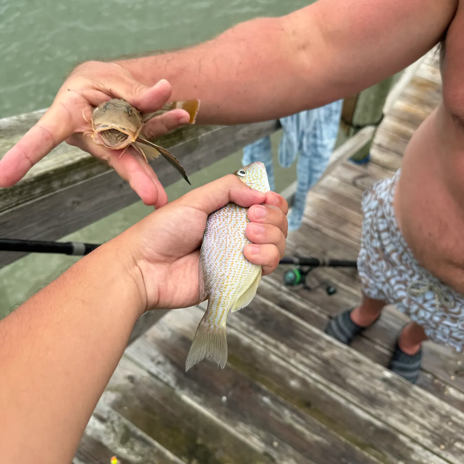 Atlantic croaker caught on Fishbrain
