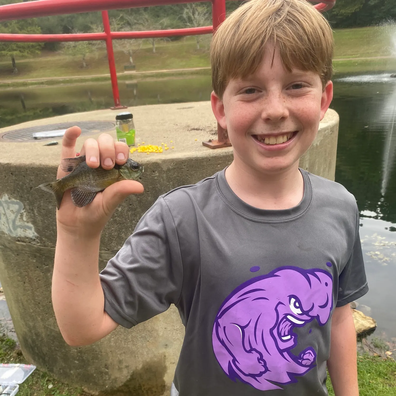 Bluegill caught on Fishbrain