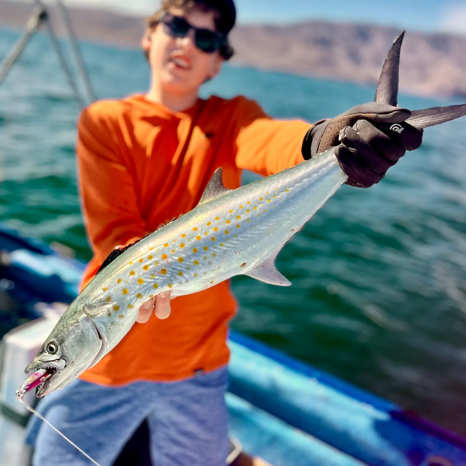 The most popular recent Serra Spanish mackerel catch on Fishbrain