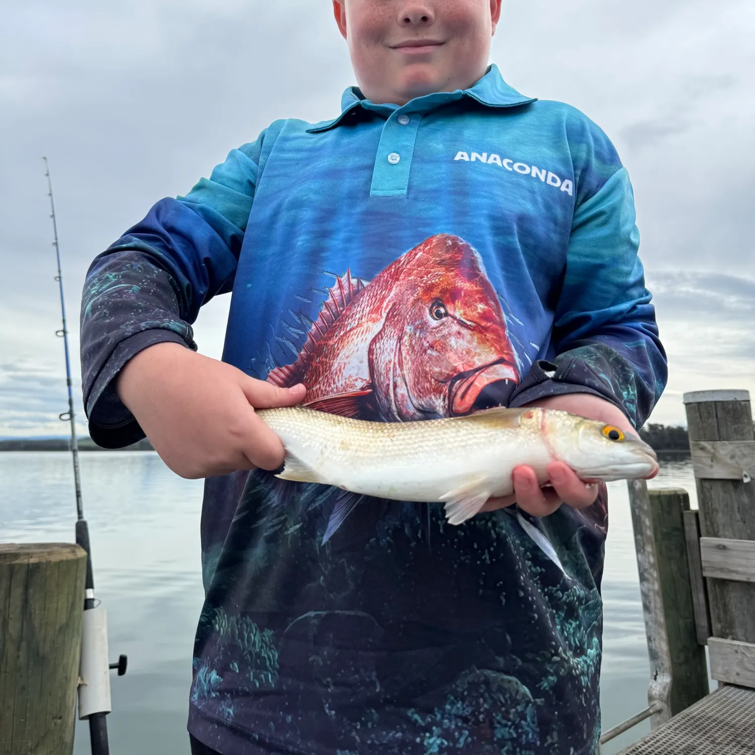 The most recent Yellow-eye mullet catches on Fishbrain