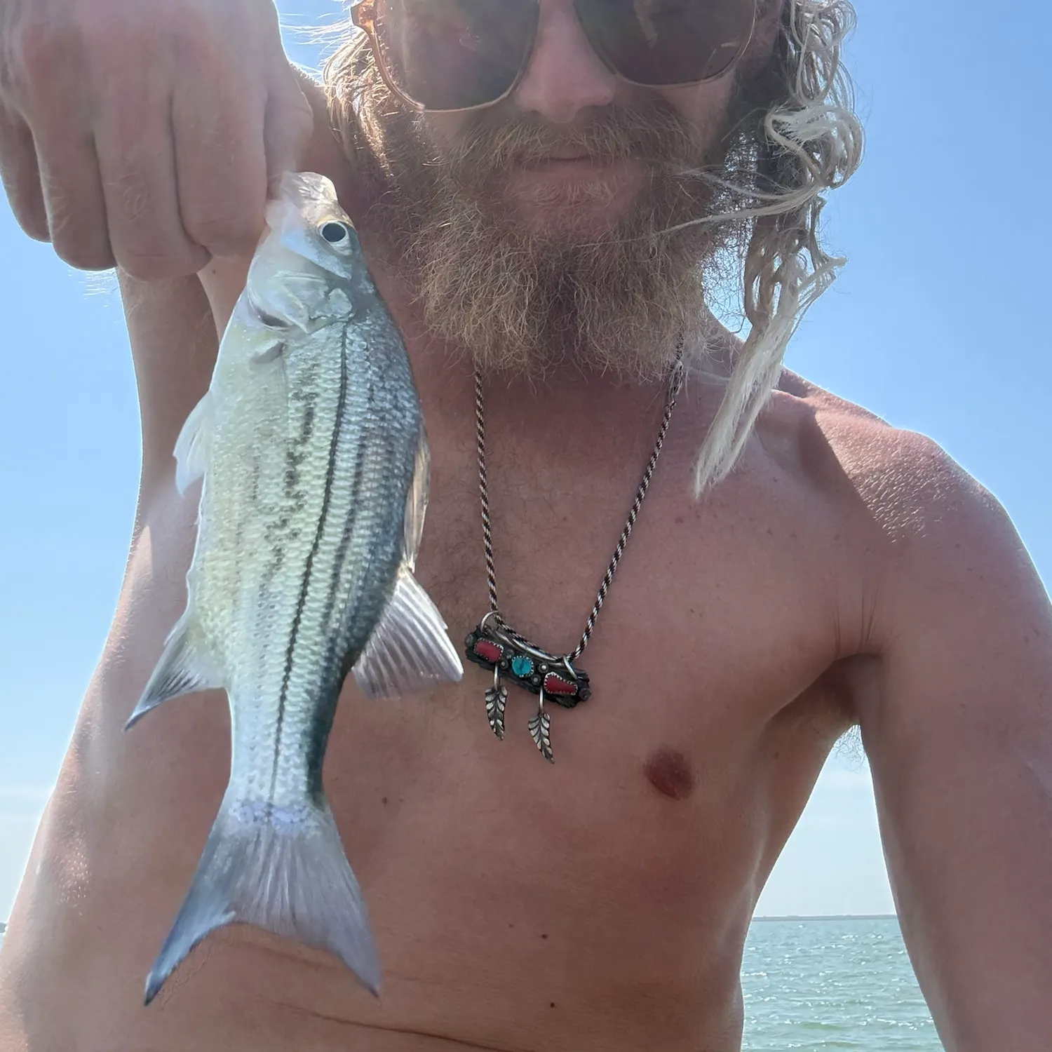 Yellow bass caught on Fishbrain