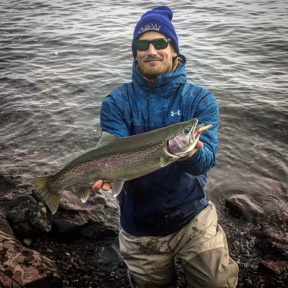 Steelhead caught on Fishbrain