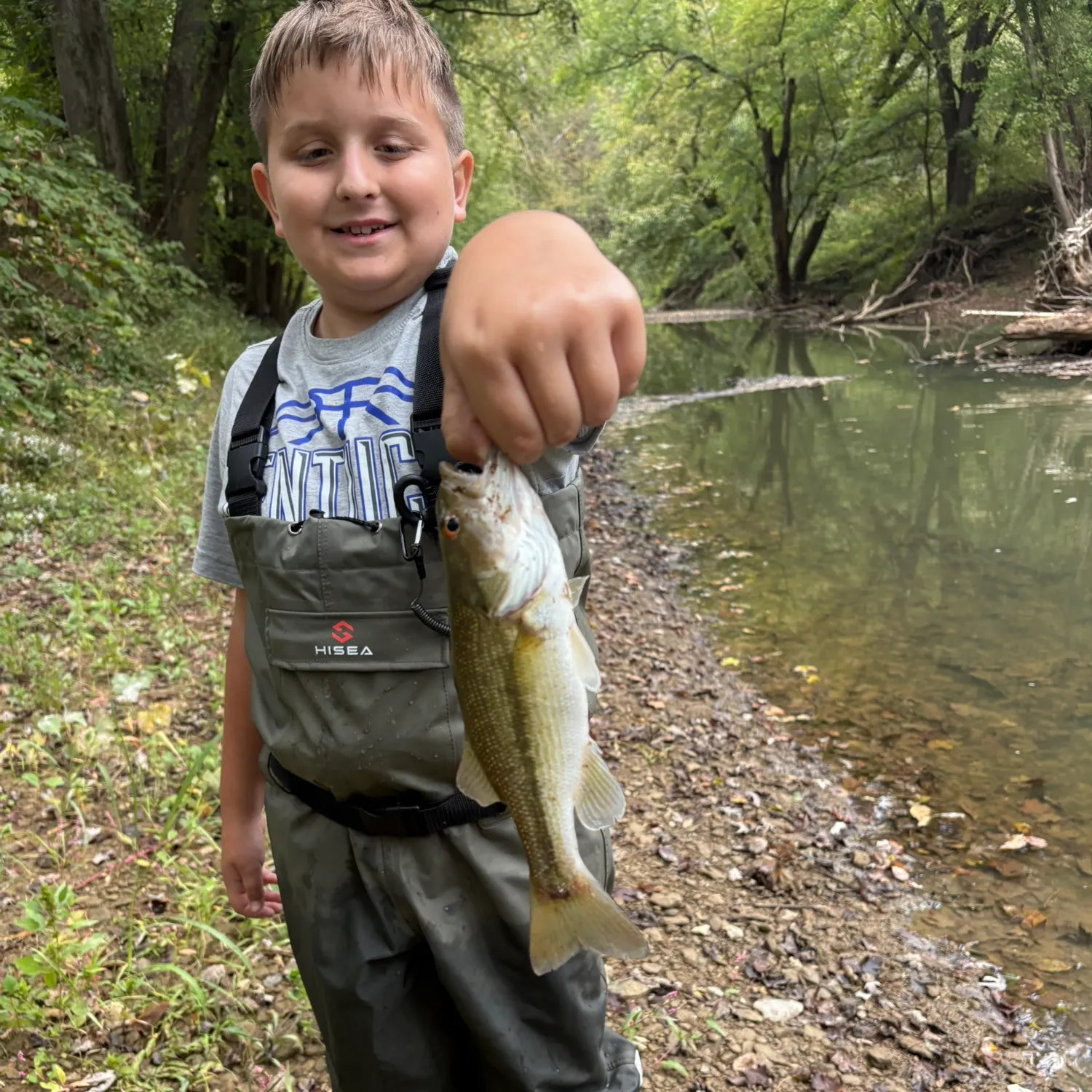 Spotted bass caught on Fishbrain