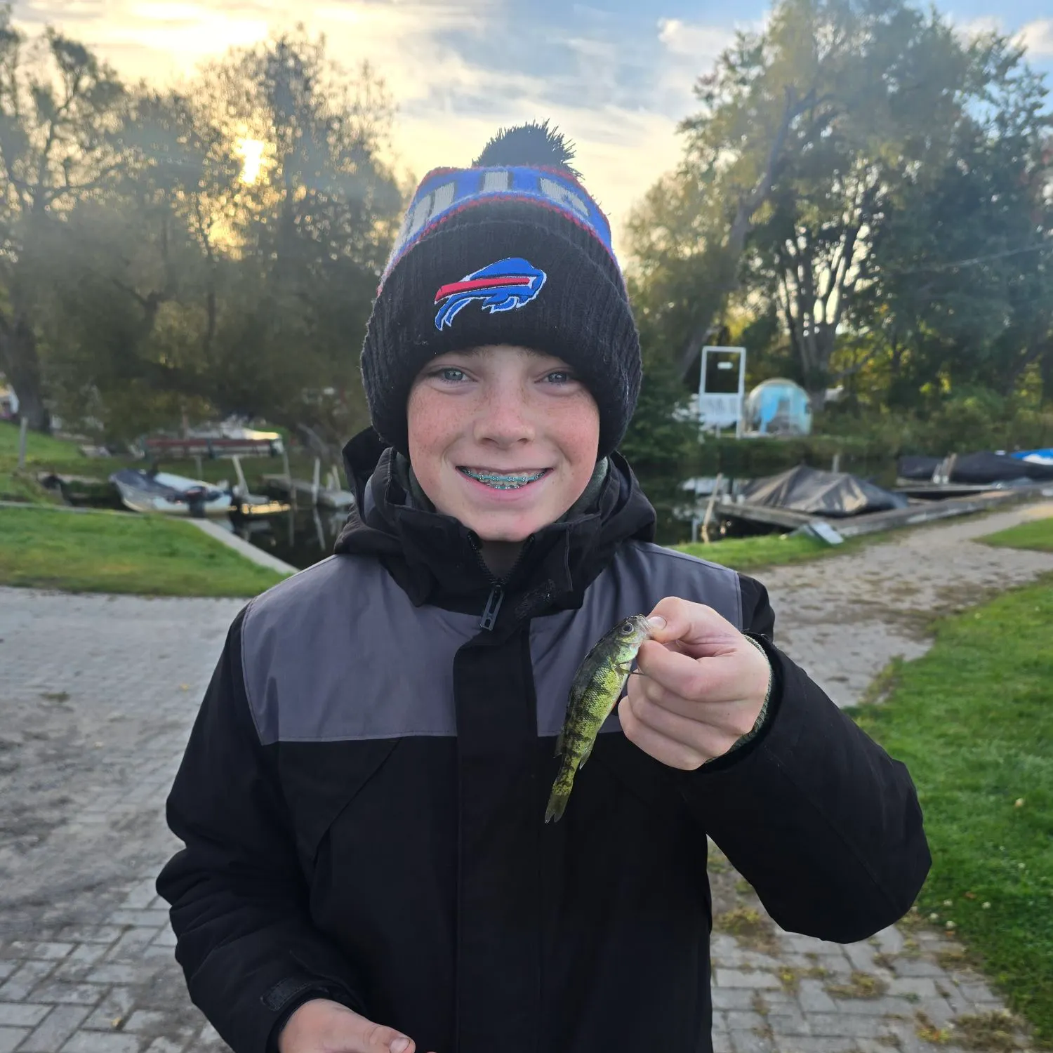 Yellow perch caught on Fishbrain