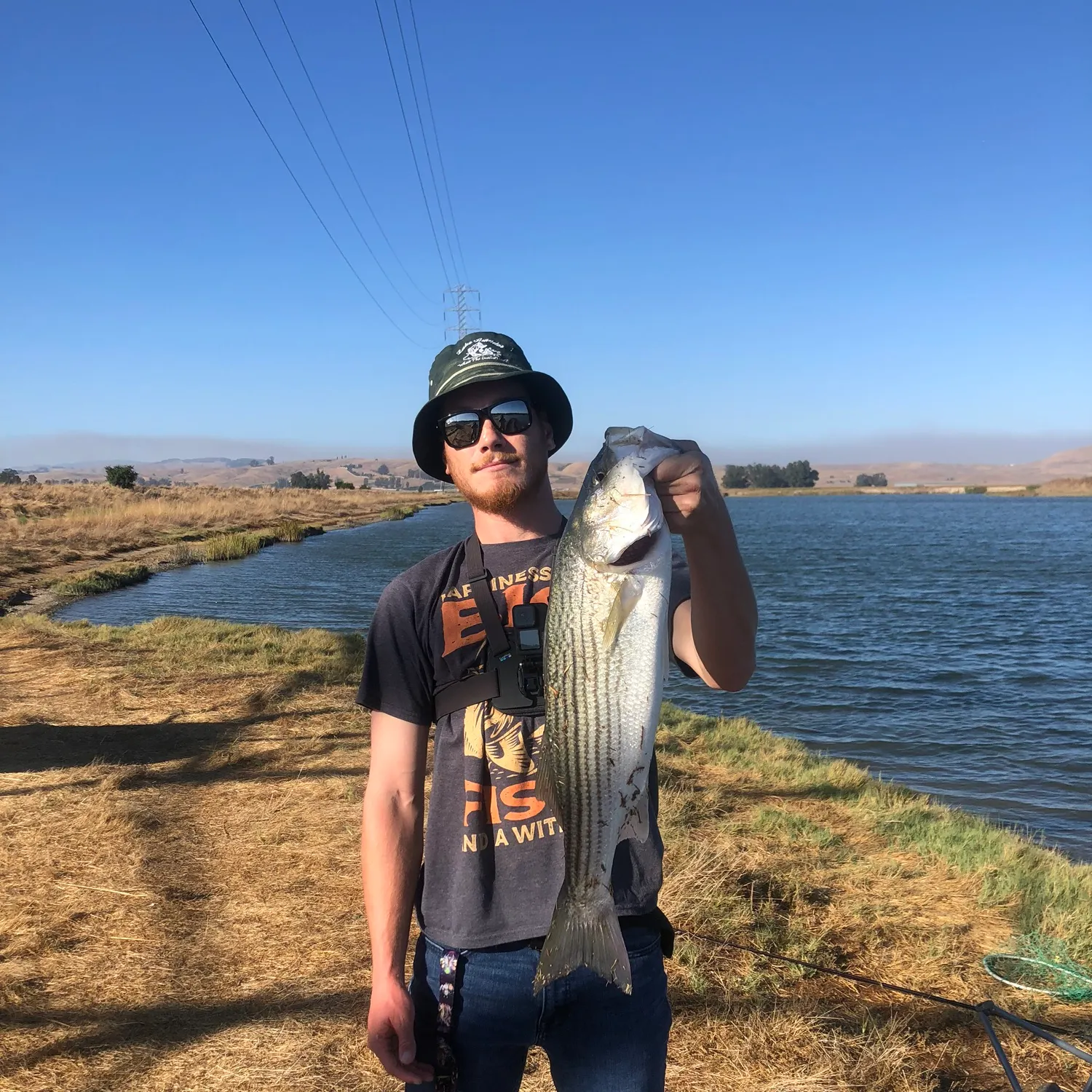 Striped bass caught on Fishbrain