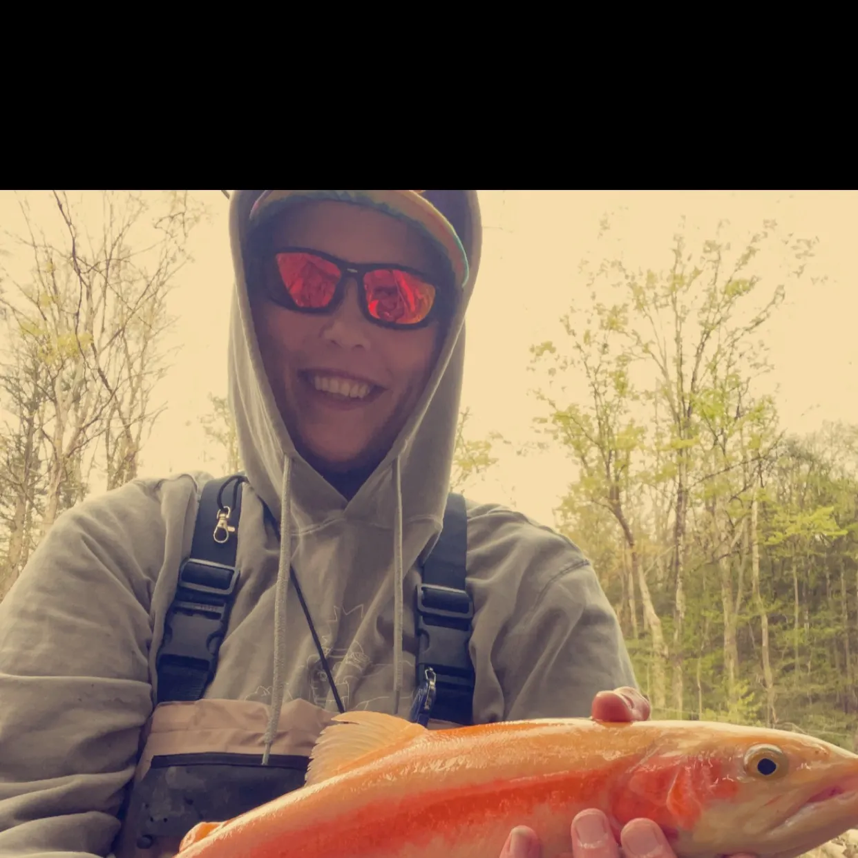 most liked catch image